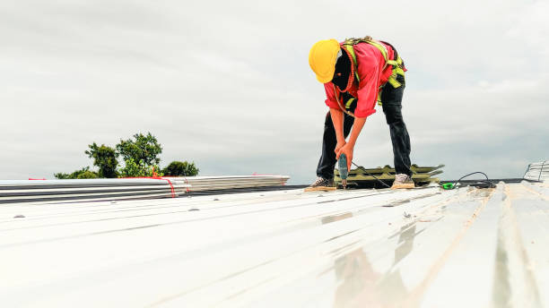 Best Chimney Flashing Repair  in Dover Plains, NY